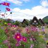 秋の白川郷