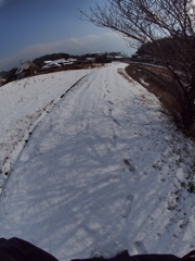 冬景色　いつもの散歩道
