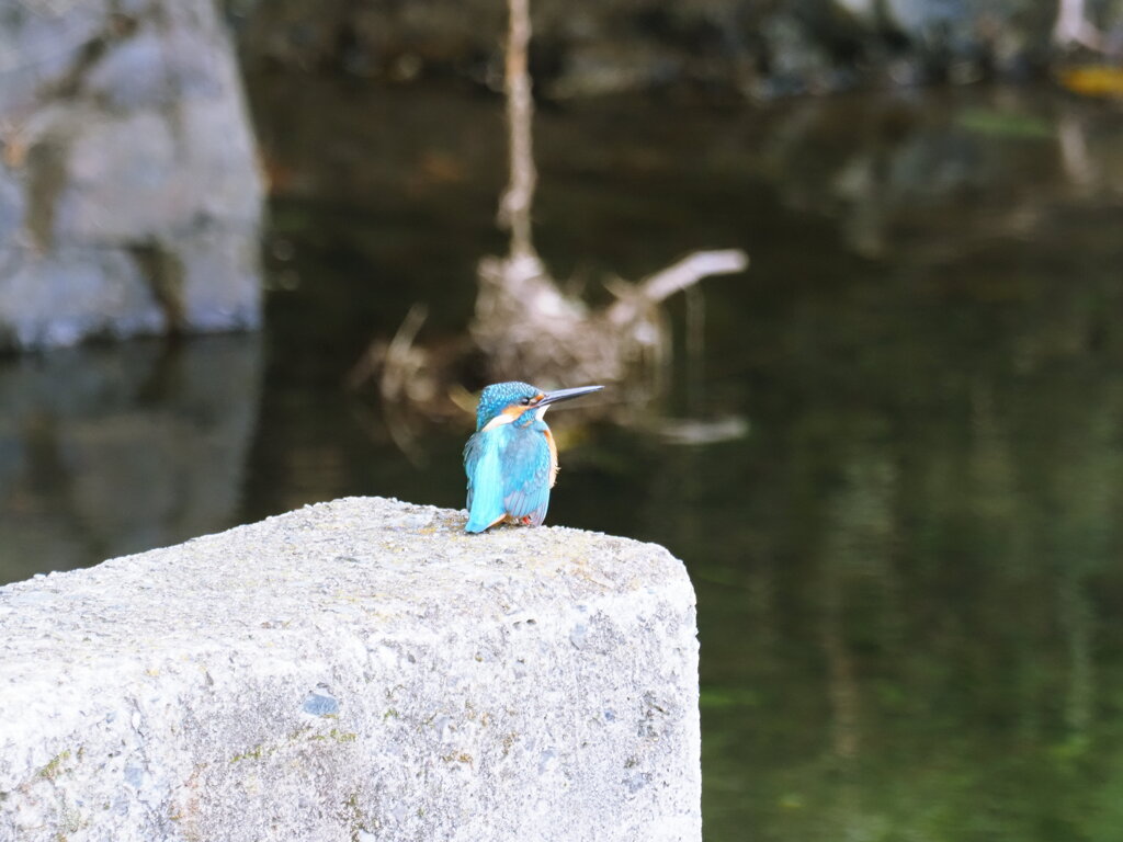 翡翠