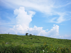 夏の終わりの草原