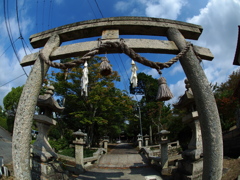 お散歩写真　近くの神社