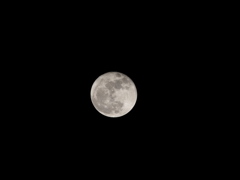 super moon +1day