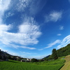 いつもの散歩道　夏