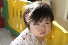 朝