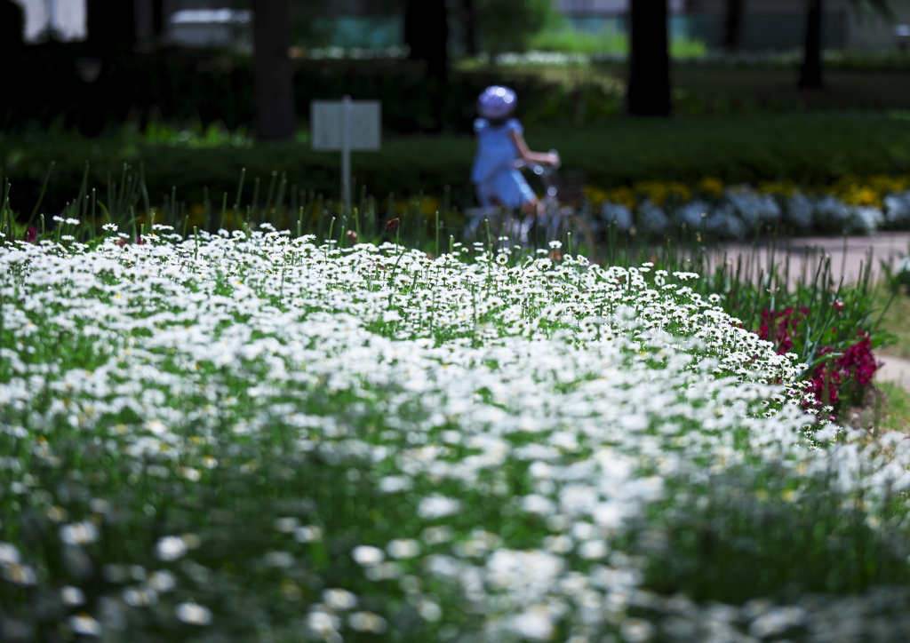 晴れた休日の公園にて