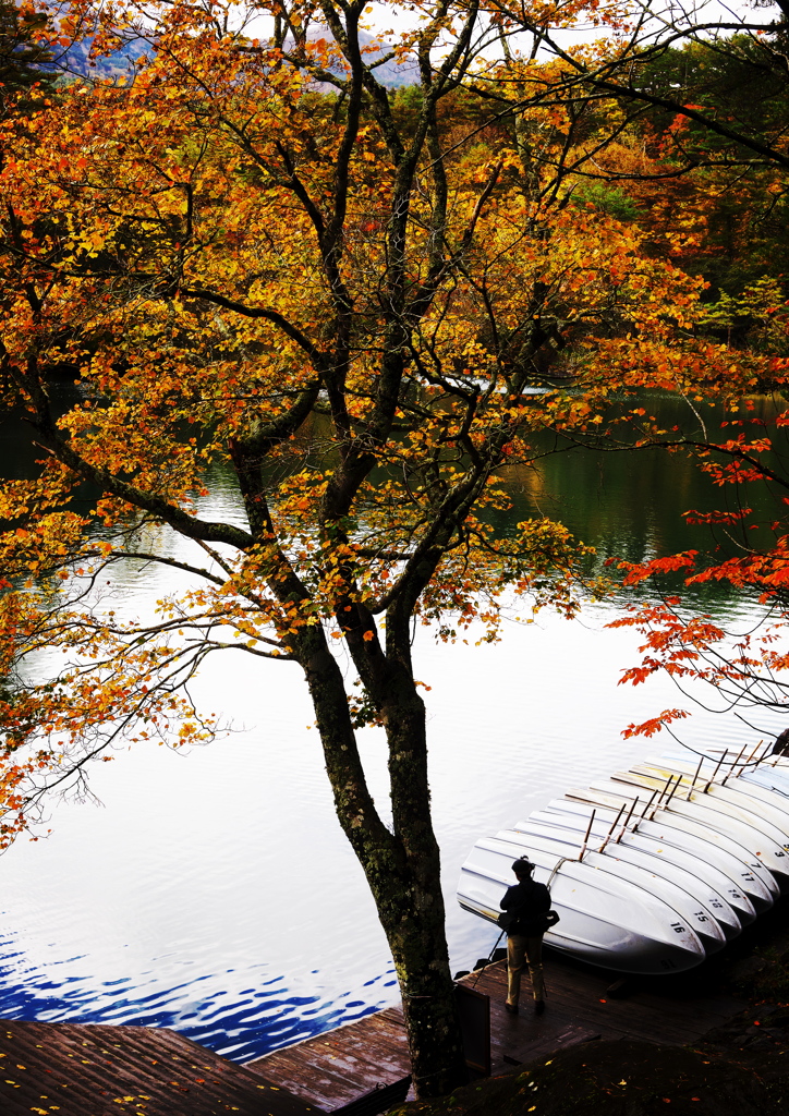 A man beside the tree