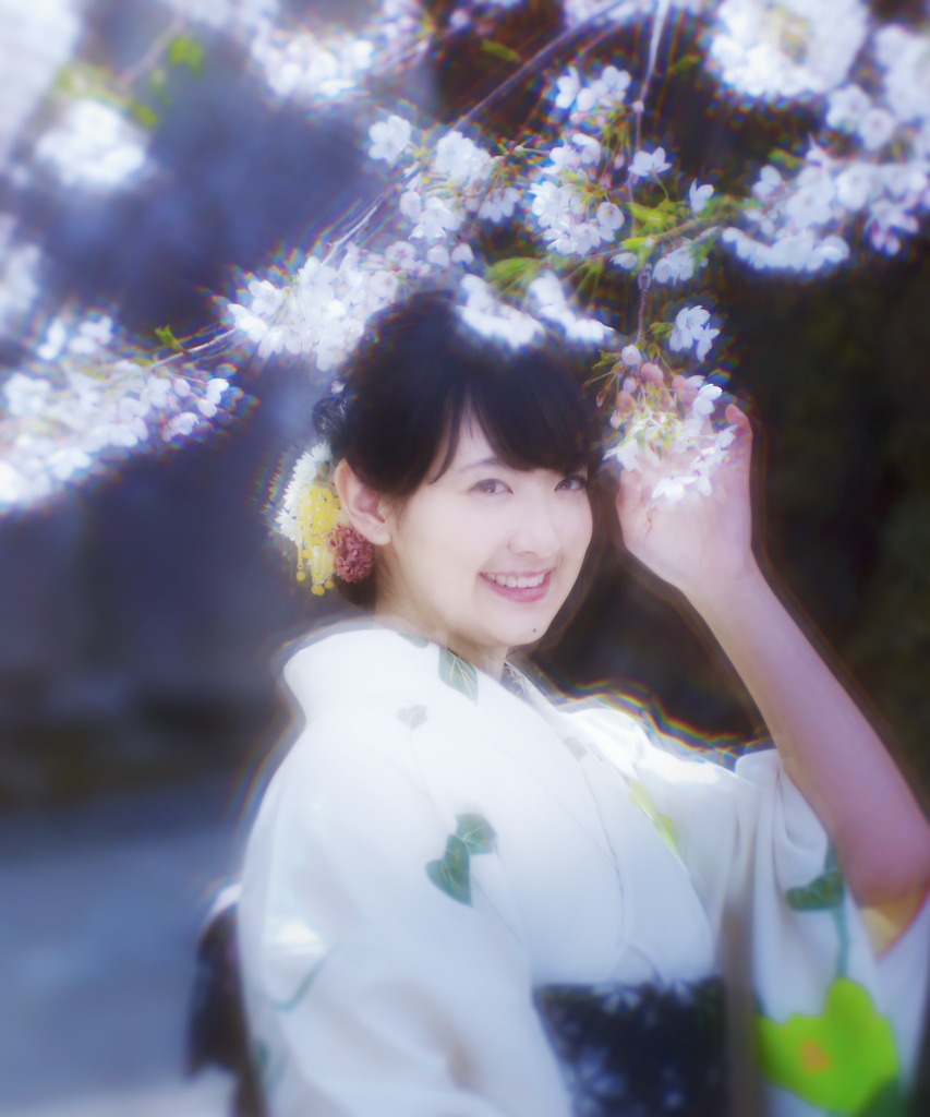 きらめく桜の下で・・・