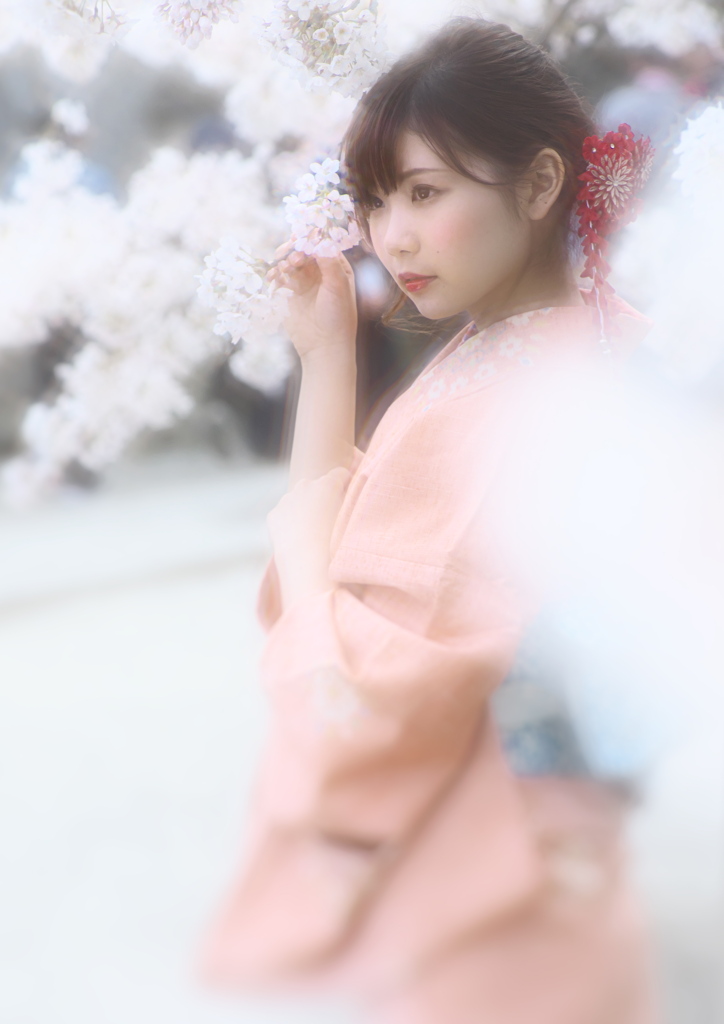 さくらがさいたら・・・・