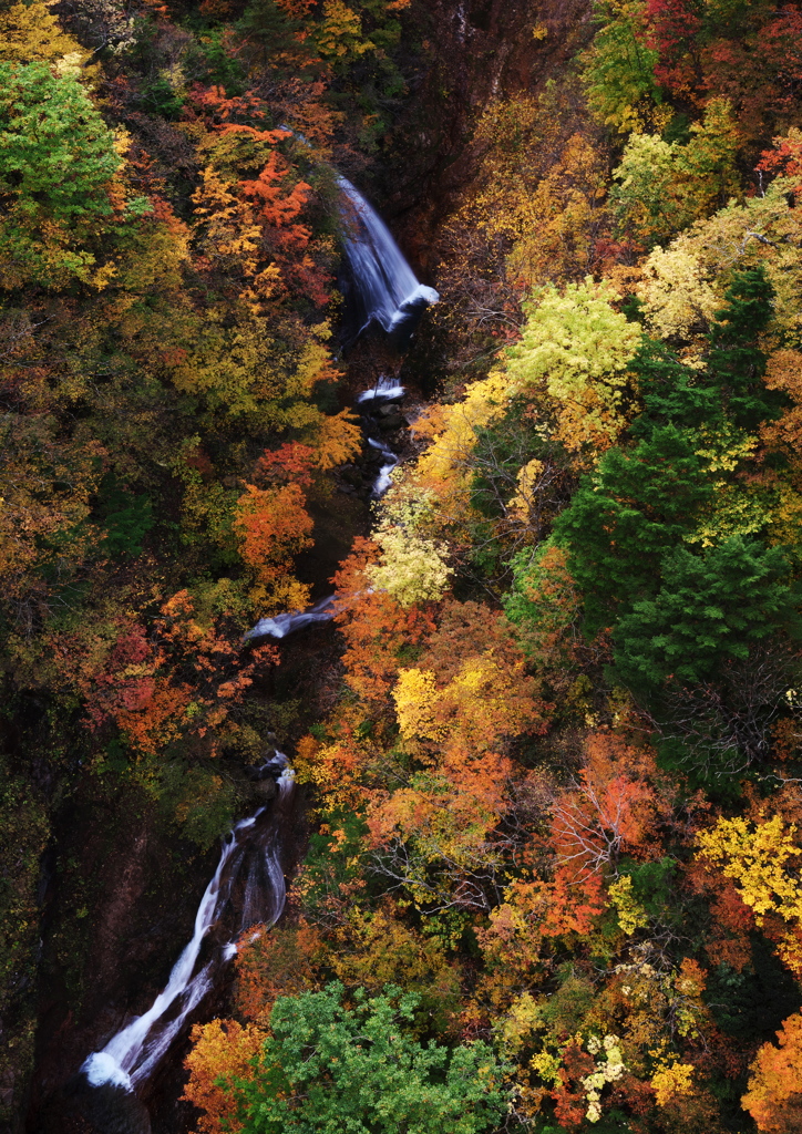 秋紅葉模様 By 緑推し Id 写真共有サイト Photohito