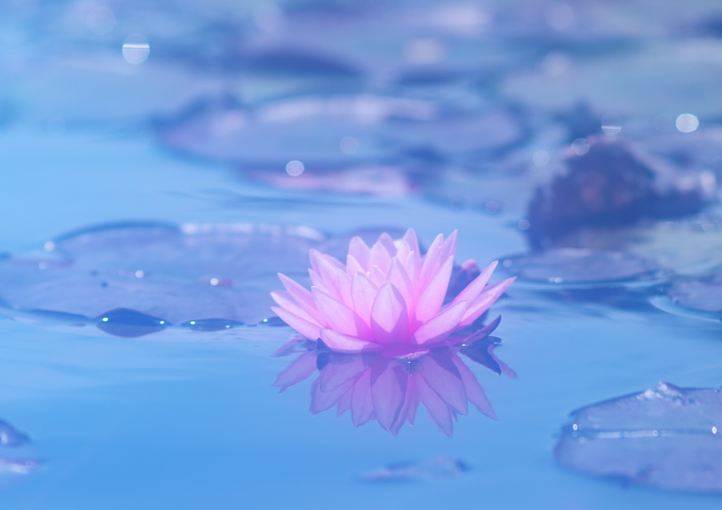 In the blue