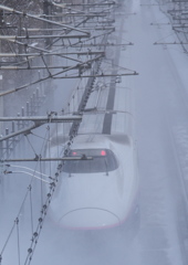 雪を舞い上げて　WHITE OUT