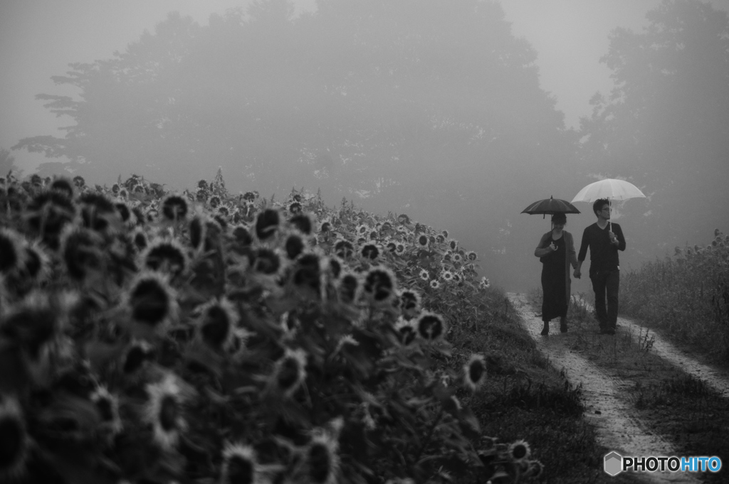 雨が降っても