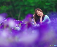お花畑にて