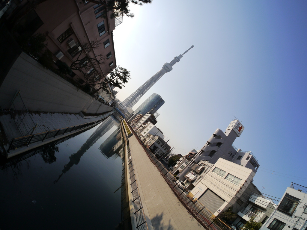 逆さツリー