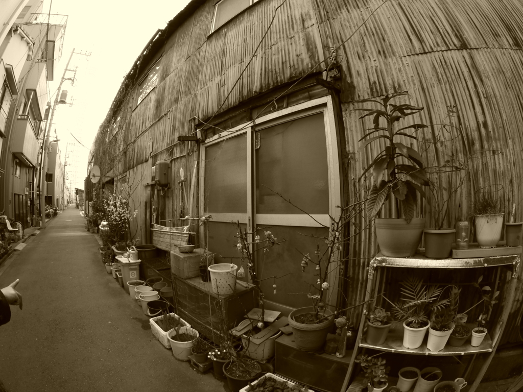 スカイツリー近くの路地