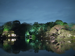 六義園　池と光