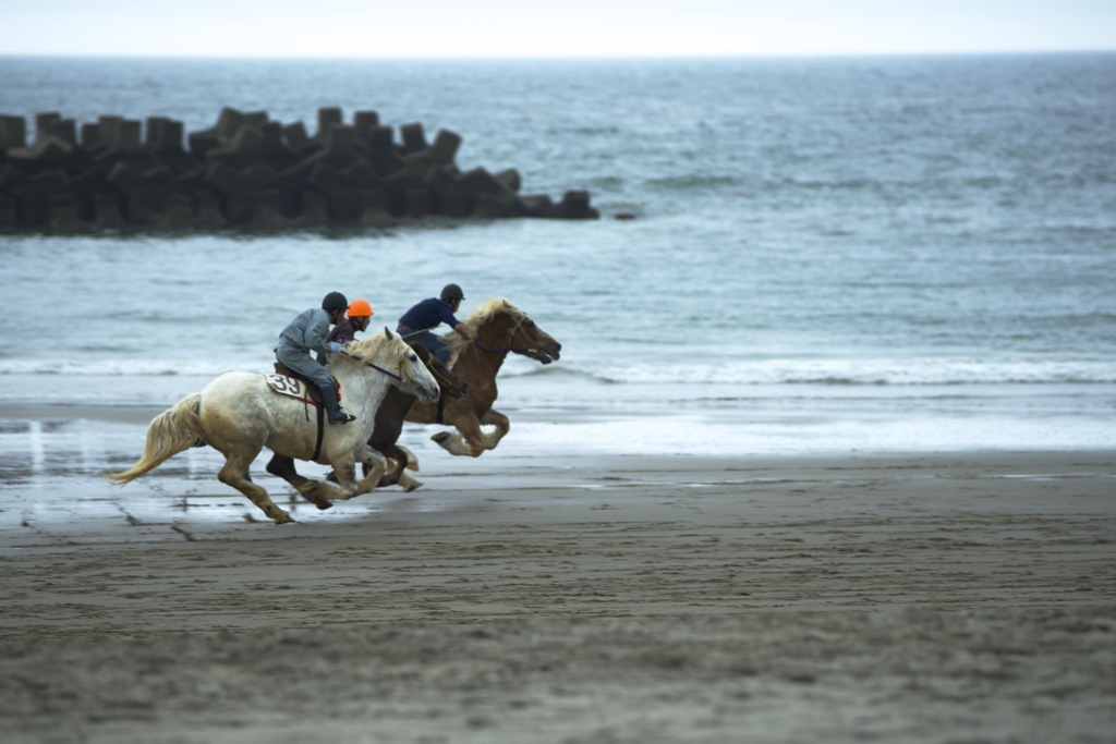 浜競馬