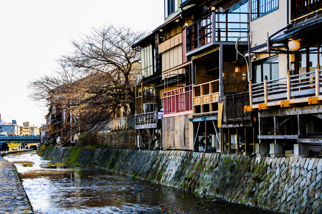 京都 鴨川先斗町