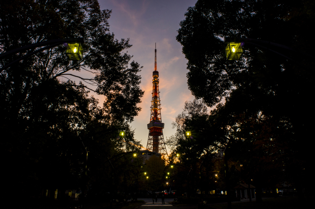 夕暮れの東京タワー