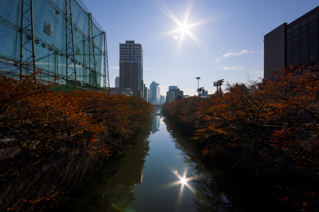 目黒川その2　春は桜が見物です