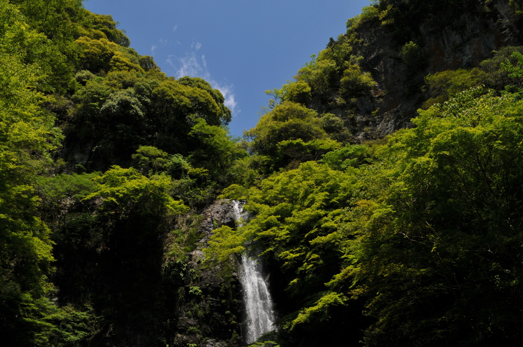 新緑の滝