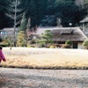 旧家庭園