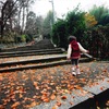秋の参道