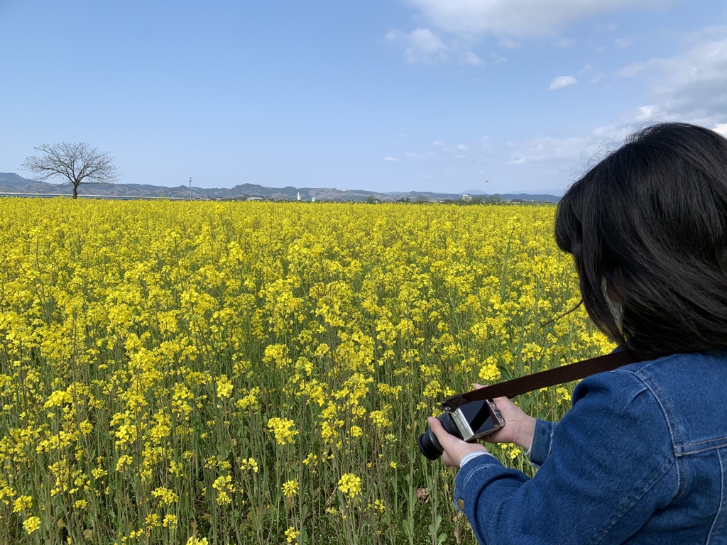 写んぽ