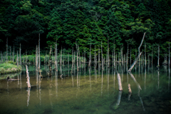 池
