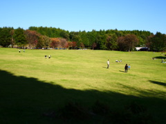 休日の公園