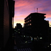 夕日