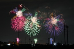 夜空に咲く花