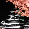 桜と漆黒の城