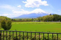 富士山と草原