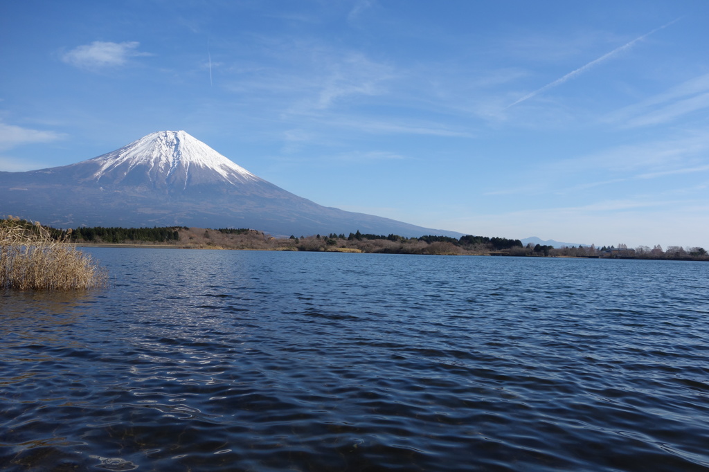 世界遺産おめでとう!