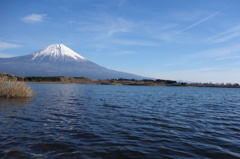 世界遺産おめでとう!