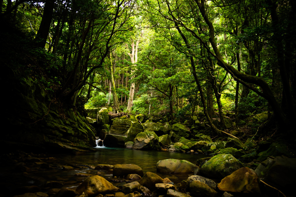 富田の森