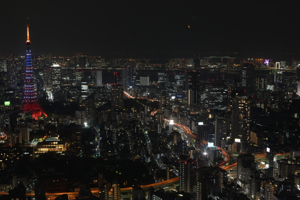 DSC_0584