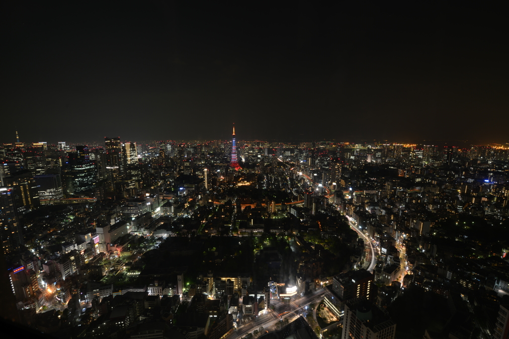 DSC_0606