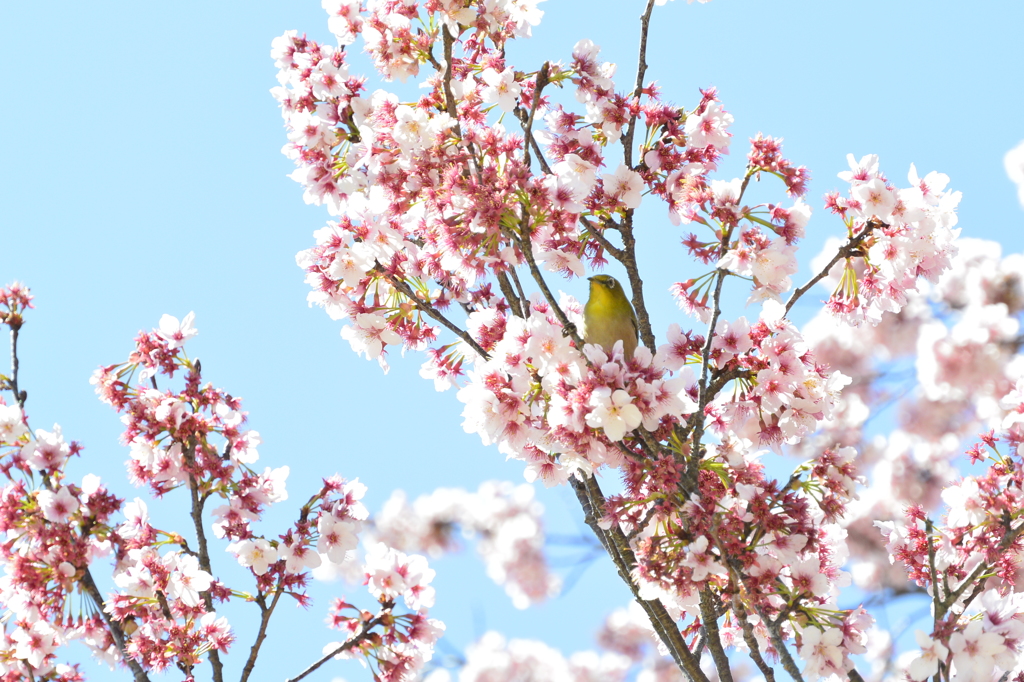 撮影実習にて(2)