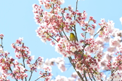 撮影実習にて(2)