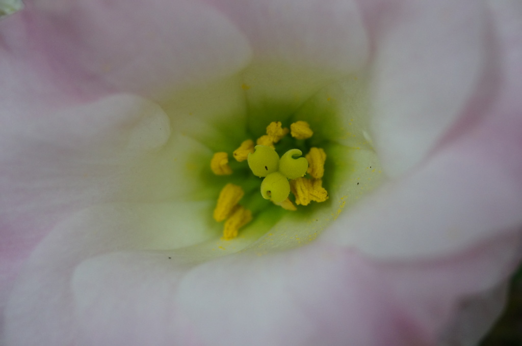 DSC07672