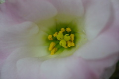 DSC07672