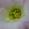 DSC07672