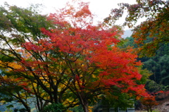 DSC09473