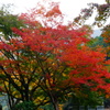 DSC09473