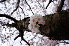 DSC00706