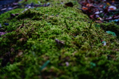 DSC09476