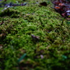 DSC09476