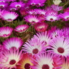 DSC01697